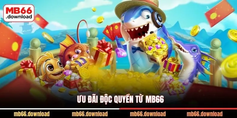Ưu đãi độc quyền từ MB66